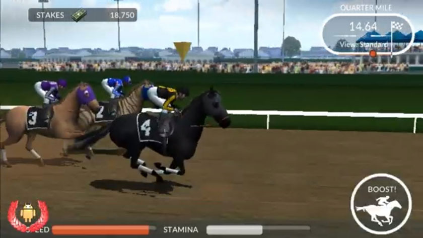 Best Horse Racing